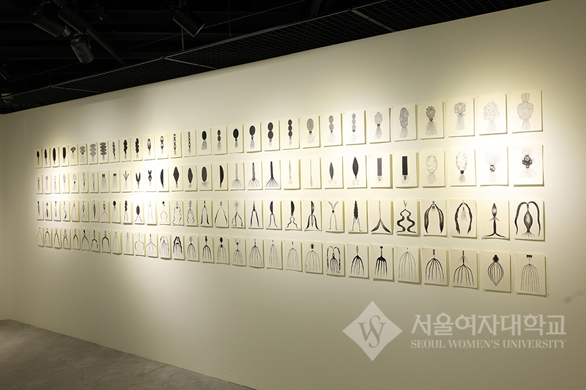 박물관 기획전시 본 식물의 시간